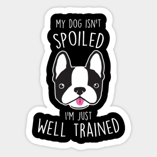 Boston Terrier Dog Isn't Spoiled Sticker